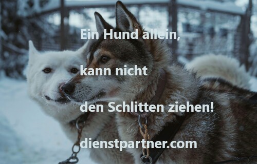 DIENSTPARTNER