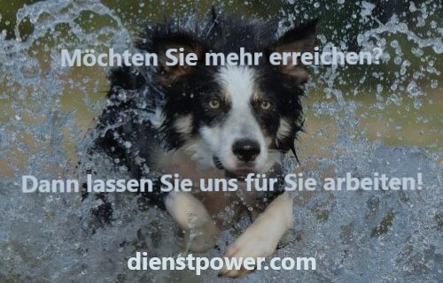 DIENSTPOWER